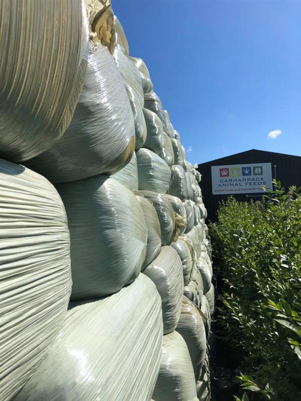 Carharrack Haylage