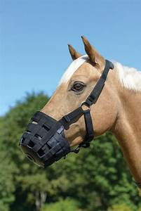 Shires Comfort Grazing Muzzle Black