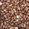 Peanuts for Wild Birds 1kg