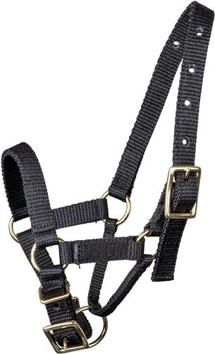 WALDHAUSEN Alpaca Headcollar Size L Black