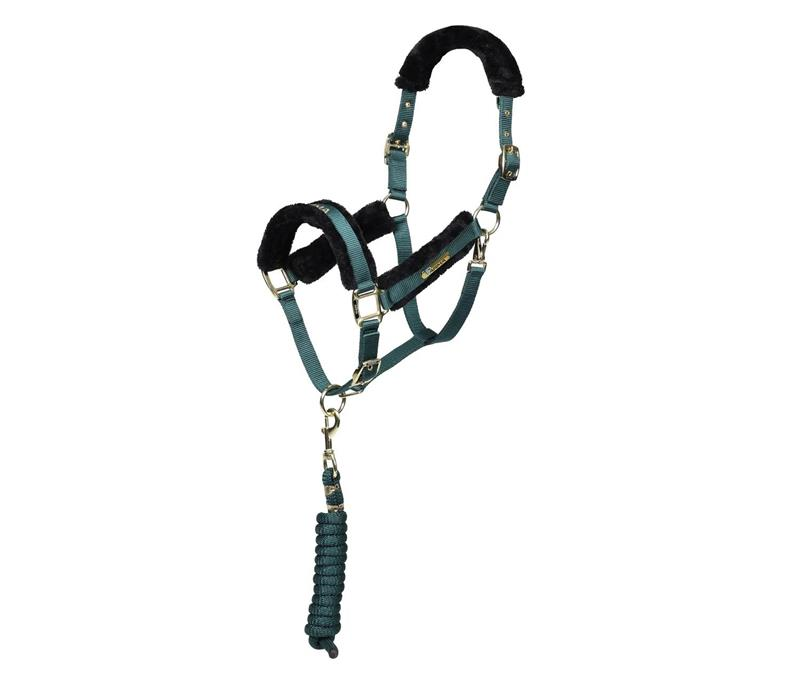 ARMA Logo Headcollar & Leadrope