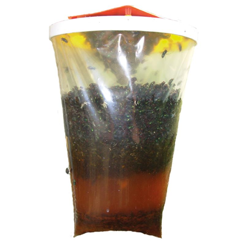 Redtop Fly Trap