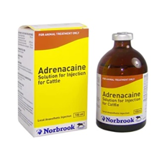 Norbrook Adrenacaine Solution For Injection for Cattle 100ml.
