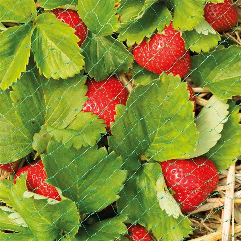 Grow It 6 metre x 4 metre Protective Fruit & Crop Netting
