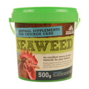 Global Herbs Seaweed 500g