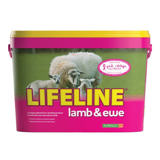 Lifeline Lamb + Ewe Lick Red