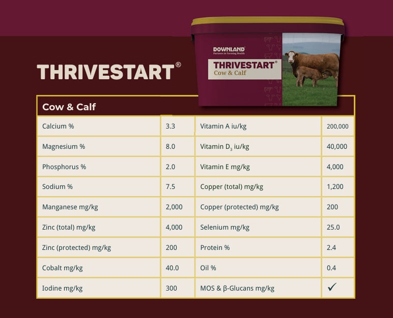 Downland Thrivestart Cow & Calf Lick 20kg
