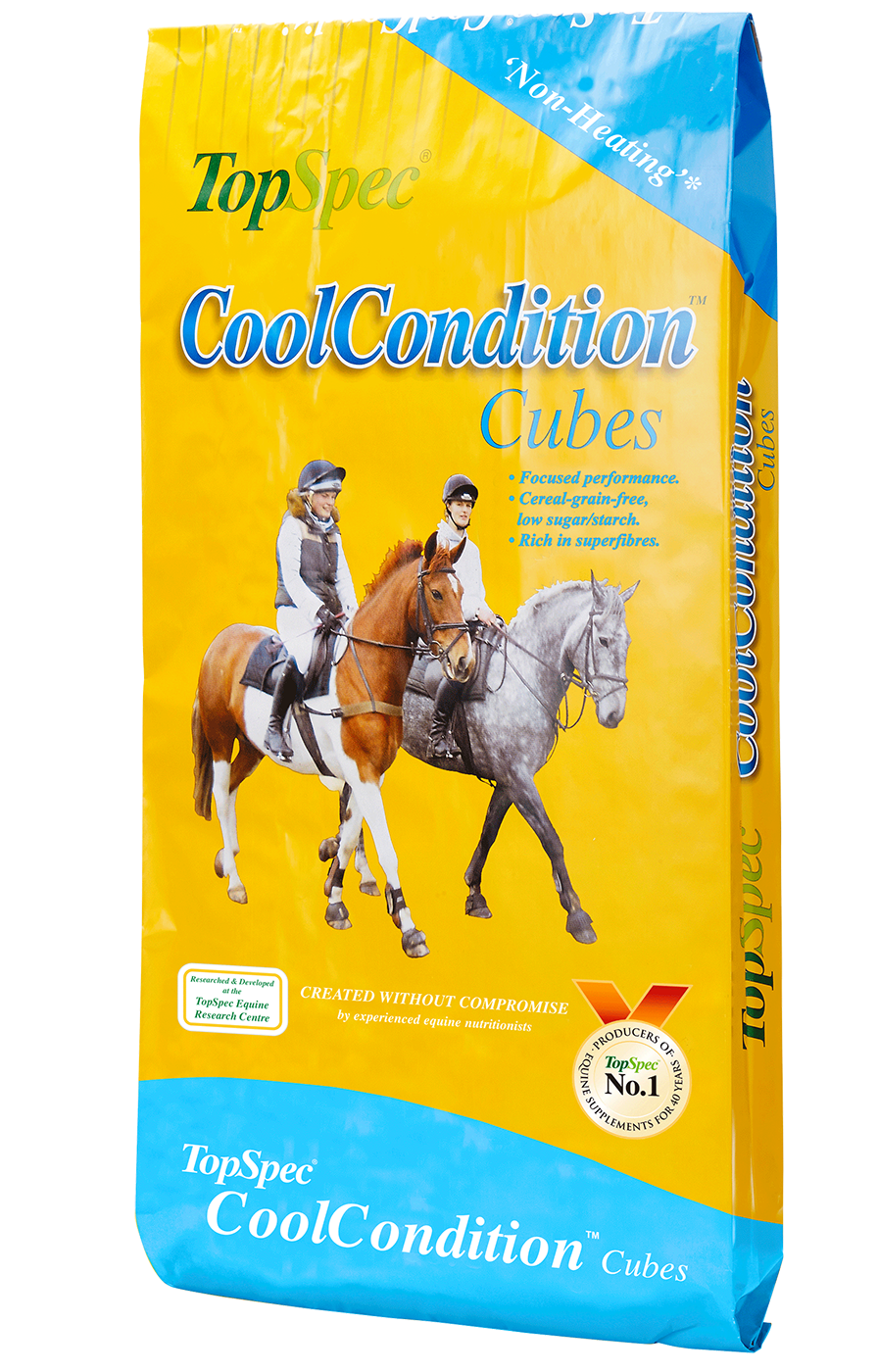 TopSpec CoolCondition Cubes 20kg
