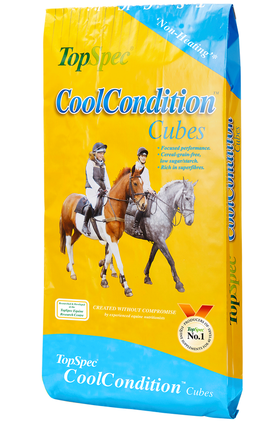 TopSpec CoolCondition Cubes 20kg