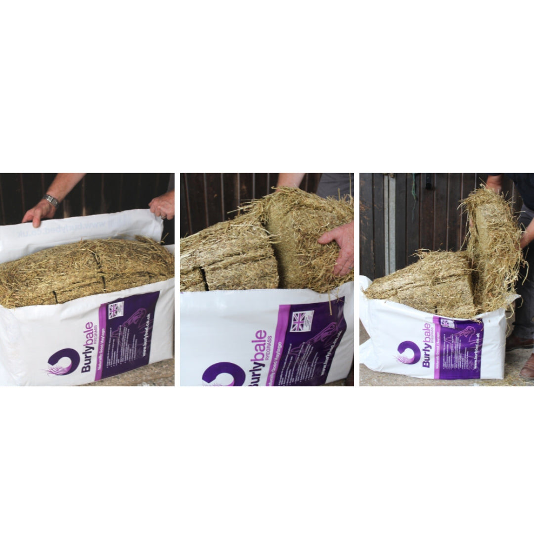 Burlybale Ryegrass Haylage
