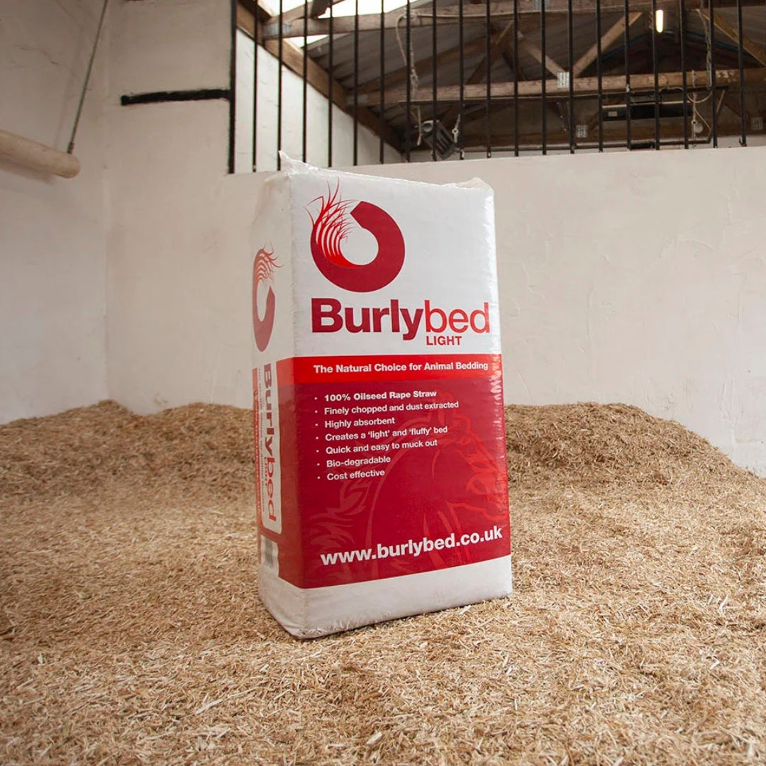 Burlybed Light