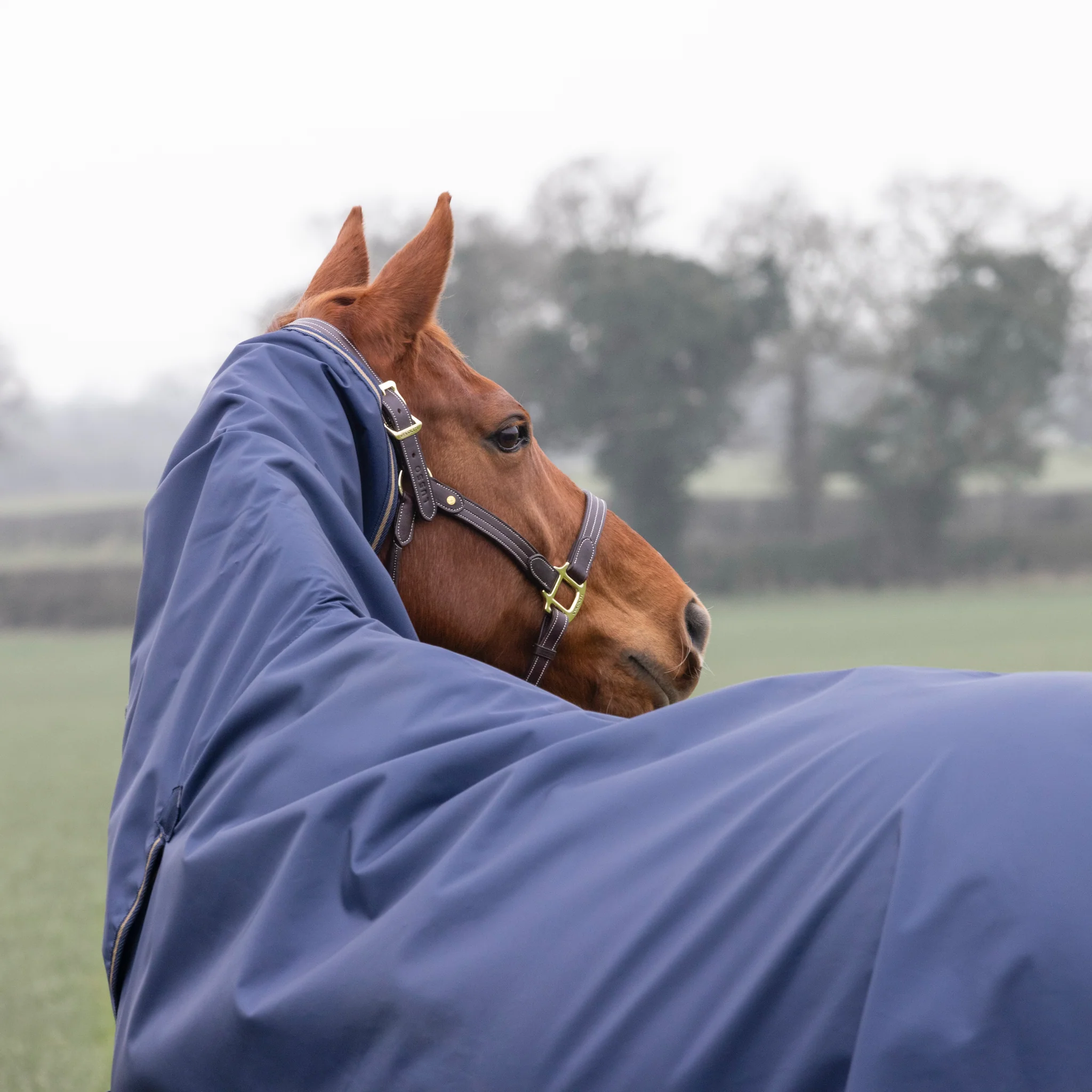 Shires Typhoon Lite Combo Turnout Rug