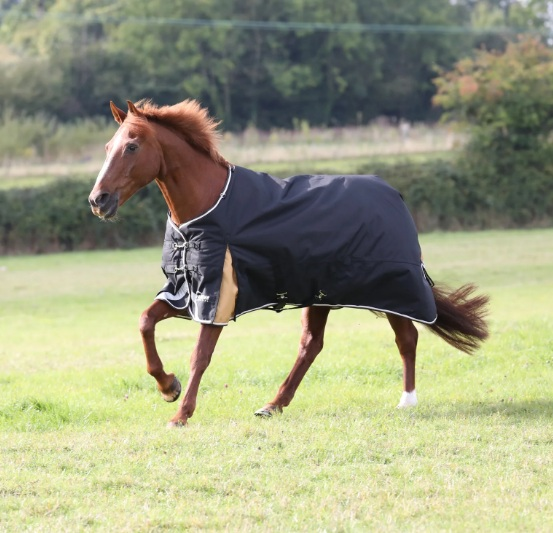 Shires Highlander Plus 200 Turnout Rug 5ft6
