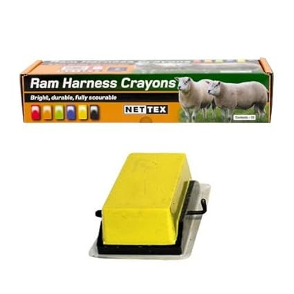 Nettex Yellow Raddle Crayon