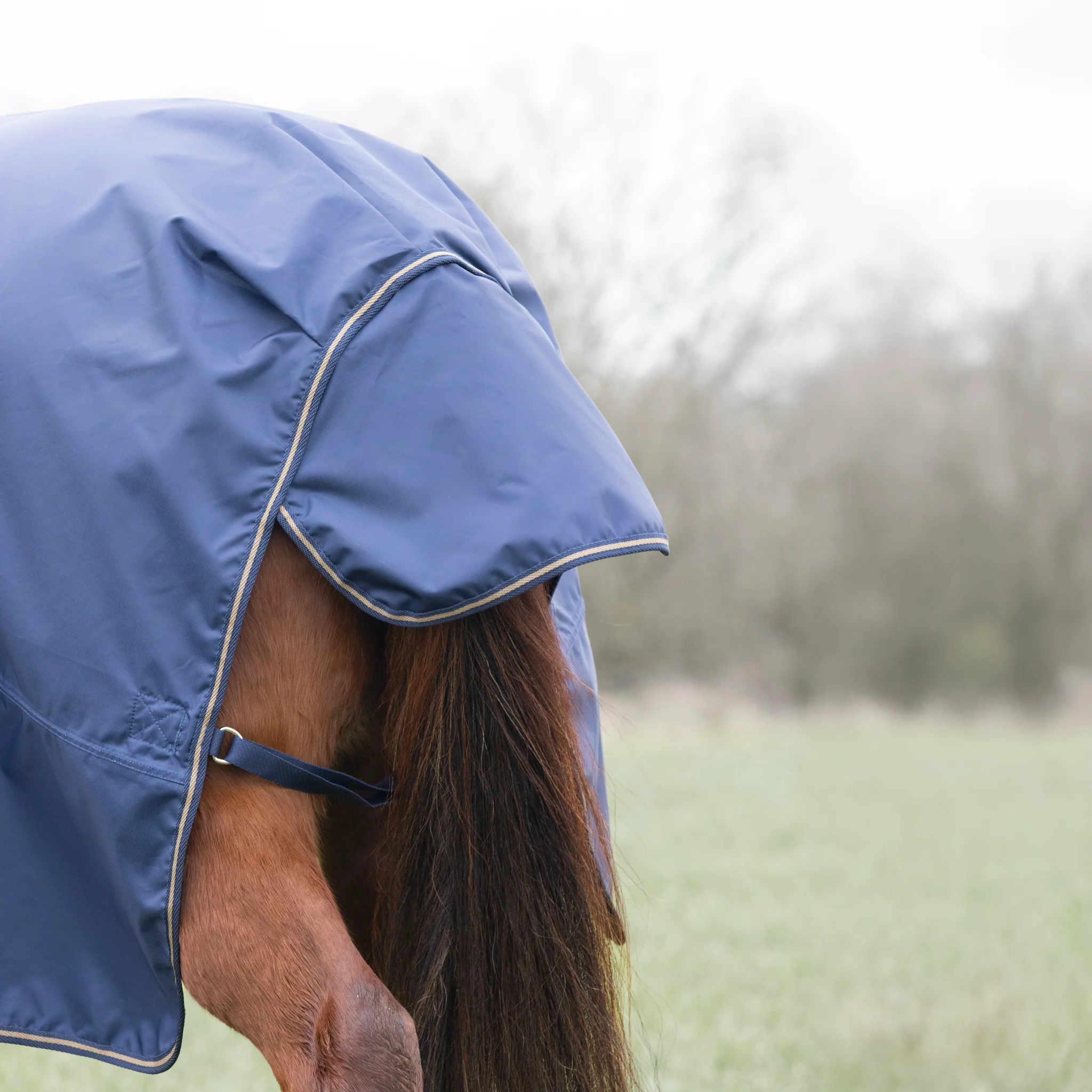 Shires Typhoon Lite Combo Turnout Rug