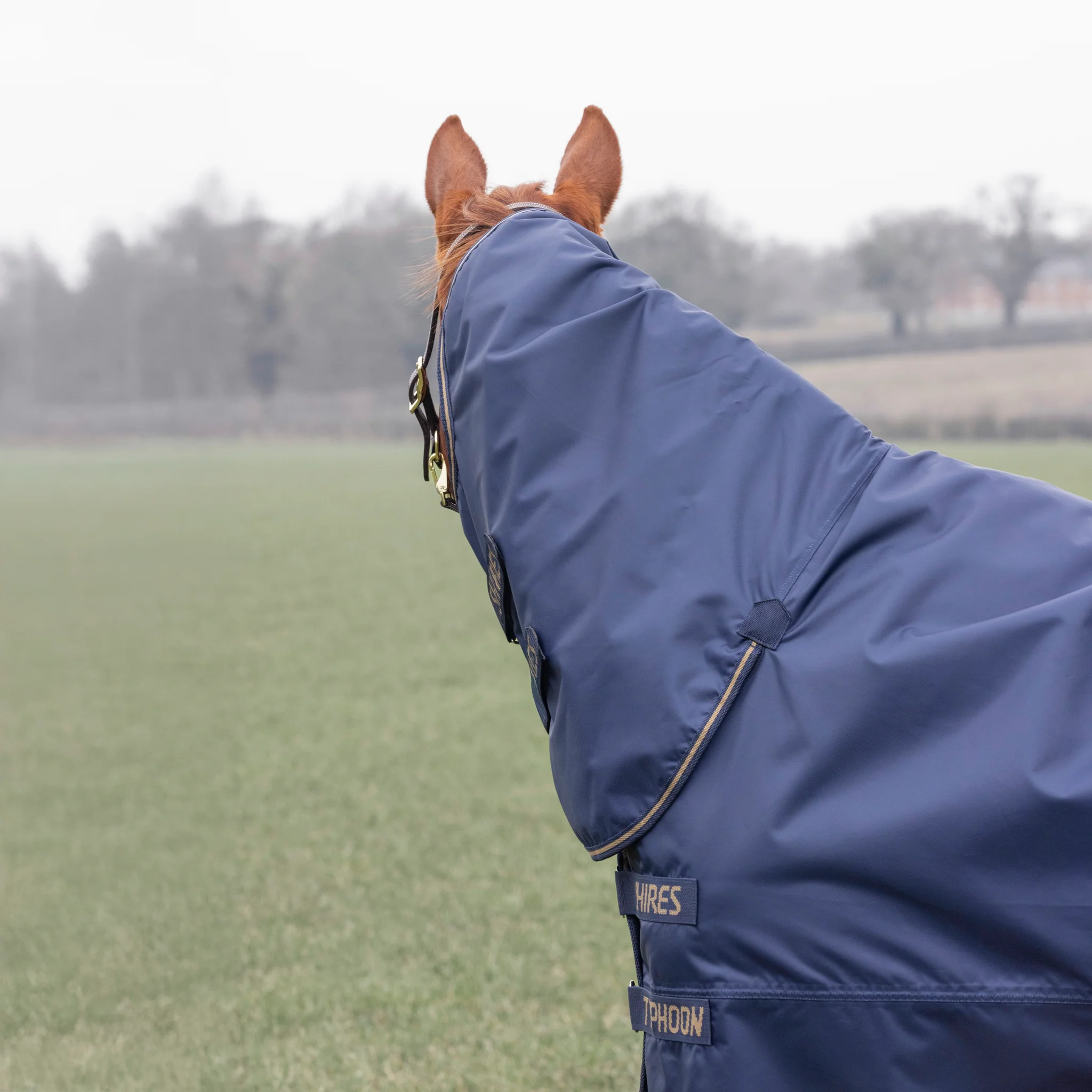 Shires Typhoon Lite Combo Turnout Rug