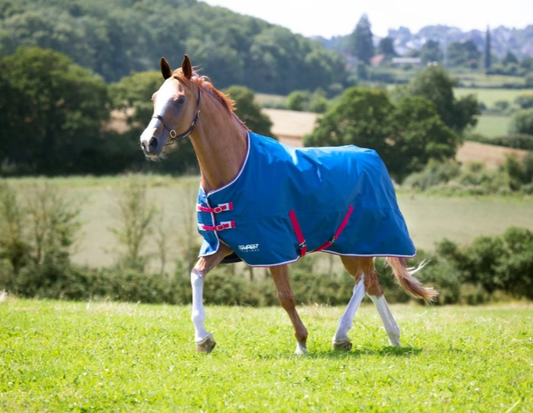 Tempest Original Lite Turnout Rug Teal