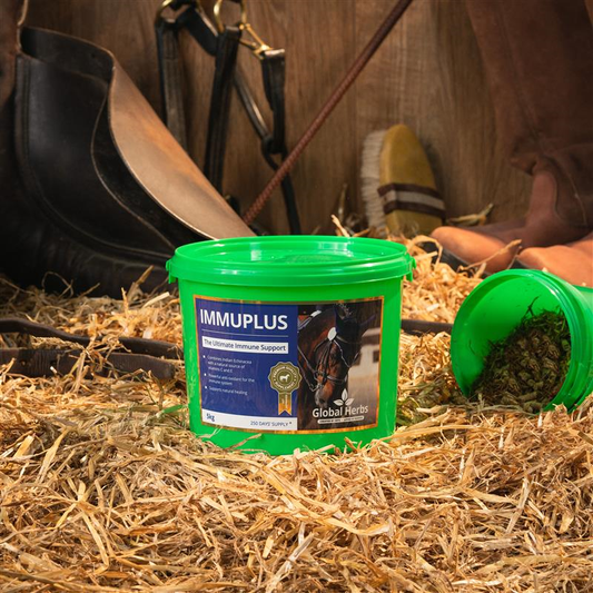 Global Herbs Immuplus 1kg