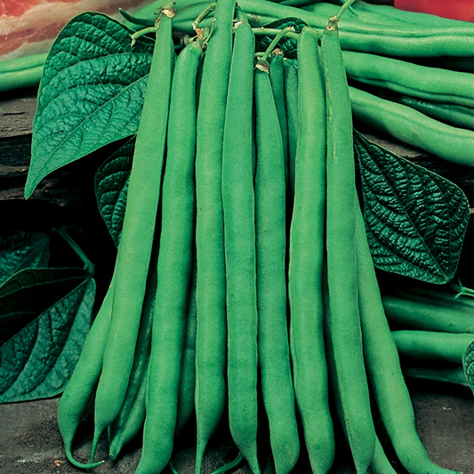 Dwarf French Bean Seeds