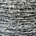 Barbed Wire 200m Roll Mild Steel