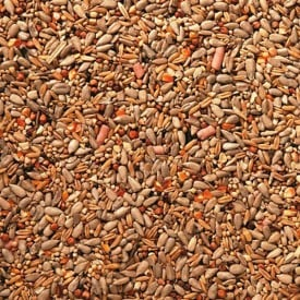 Johnston & Jeff Premium Wild Seed 20kg