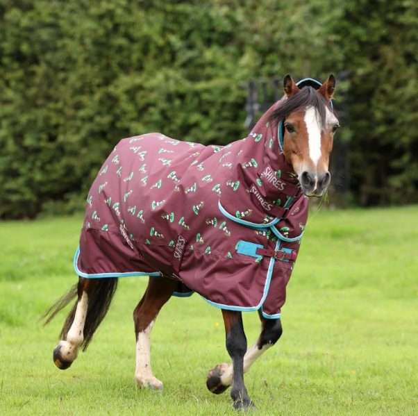 Winnie & Me 200 Combo Turnout Rug