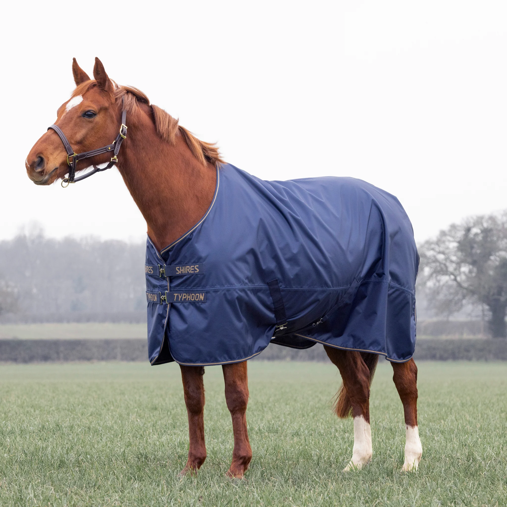Shires Typhoon Lite Turnout Rug Navy