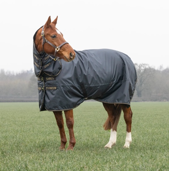 Shires Typhoon 50 Combo Turnout Rug