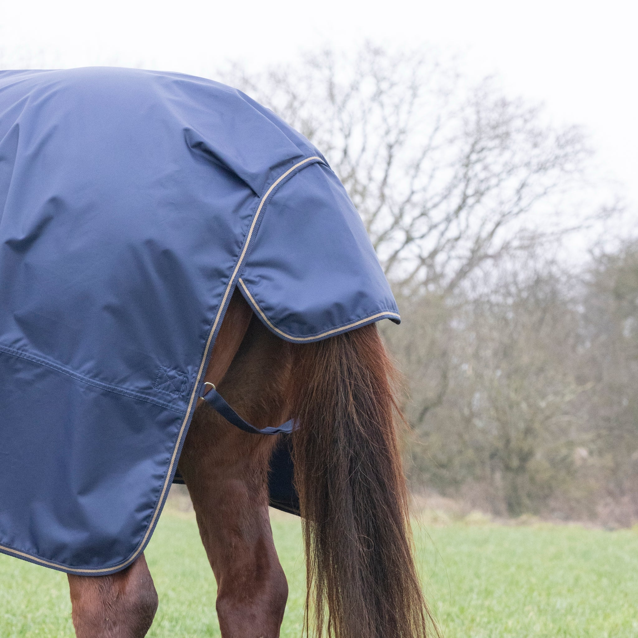 Shires Typhoon Lite Turnout Rug Navy