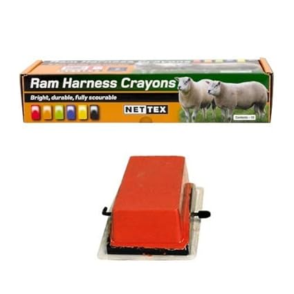 Nettex Orange Raddle Crayon