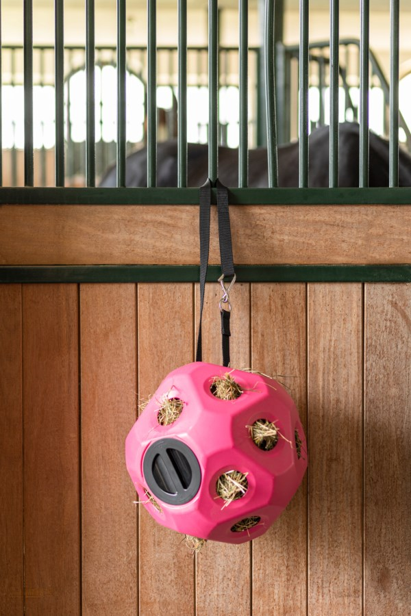 HayBoy Feed & Play Ball Pink