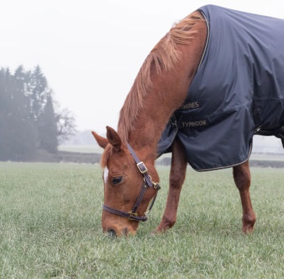 Shires Typhoon 50 Turnout Rug Black