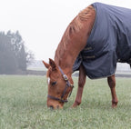 Shires Typhoon 50 Turnout Rug Black
