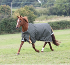 Shires Highlander Plus 50 Turnout Rug Green