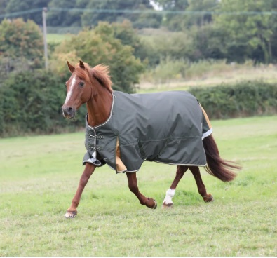 Shires Highlander Plus 50 Turnout Rug Green