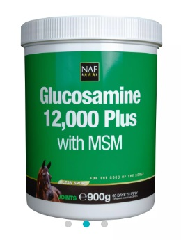 NAF Glucosamine 12000 Plus with MSM