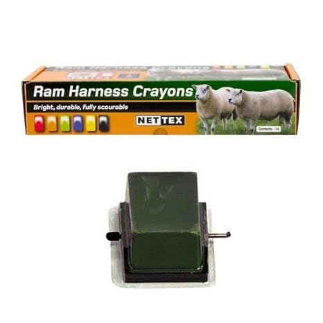 Nettex Green Raddle Crayon