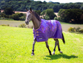 Tempest Original 100g Turnout Amethyst