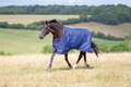 Tempest Original 100g Navy/Pink
