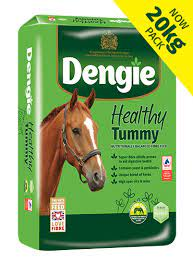 Dengie Healthy Tummy 20kg