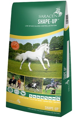 Saracen Shape Up 20kg