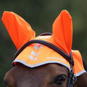 Equi-Flector Fly Veil Orange