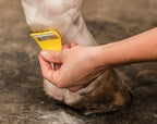 Smart Grooming Equi - Shave