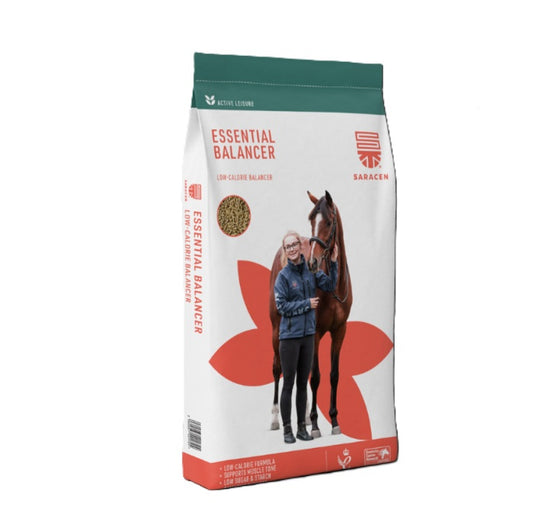 Saracen Essential Balancer 20kg