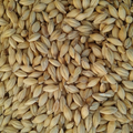 Henry's Whole Barley 20kg