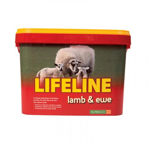 Lifeline Lamb + Ewe Lick Red