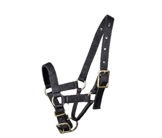 Alpaca Halter Black Small